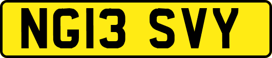 NG13SVY