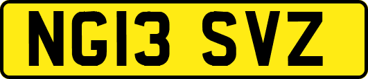 NG13SVZ