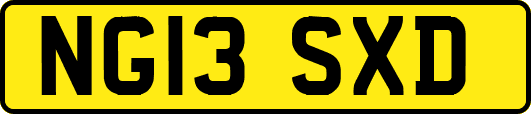 NG13SXD