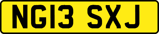 NG13SXJ