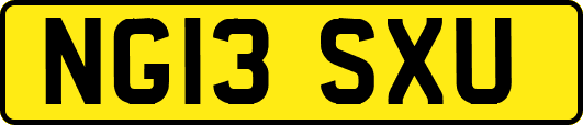 NG13SXU