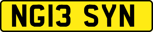 NG13SYN
