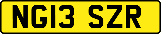 NG13SZR
