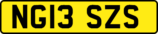 NG13SZS