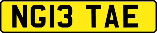 NG13TAE