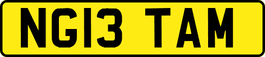 NG13TAM