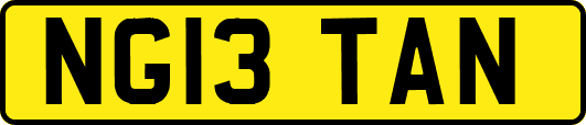 NG13TAN