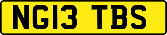 NG13TBS