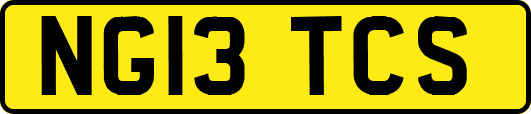 NG13TCS