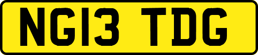NG13TDG