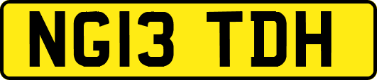 NG13TDH
