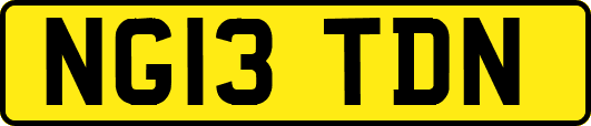 NG13TDN