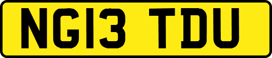 NG13TDU