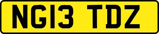 NG13TDZ