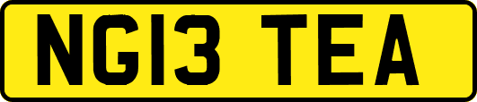 NG13TEA