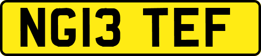NG13TEF