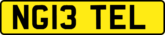 NG13TEL