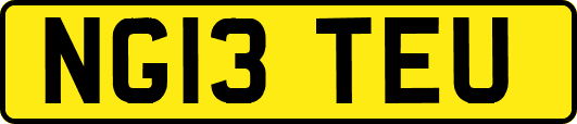 NG13TEU