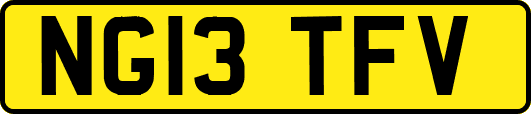 NG13TFV