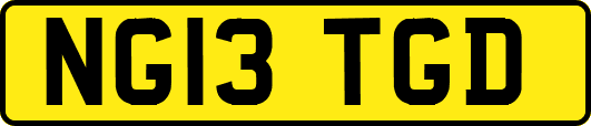 NG13TGD