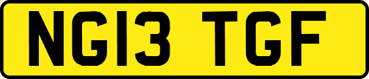 NG13TGF