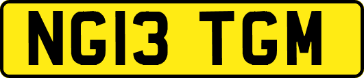 NG13TGM