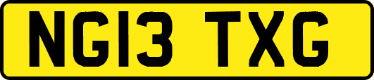 NG13TXG