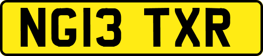 NG13TXR