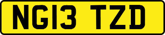 NG13TZD