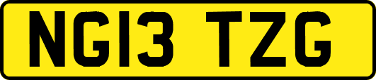 NG13TZG