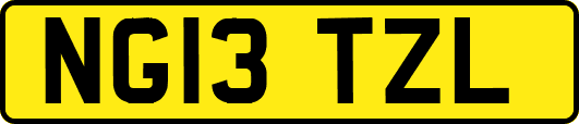 NG13TZL