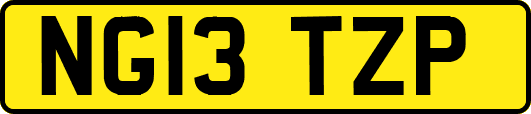 NG13TZP