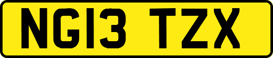 NG13TZX