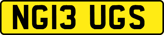 NG13UGS
