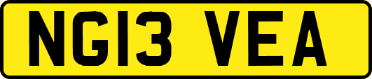 NG13VEA