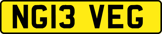 NG13VEG