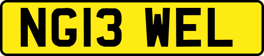 NG13WEL