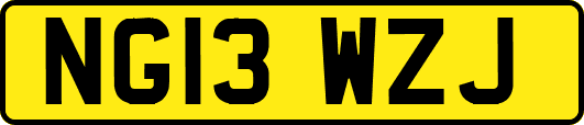 NG13WZJ