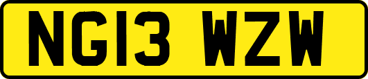 NG13WZW
