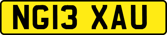 NG13XAU
