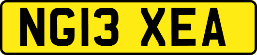 NG13XEA