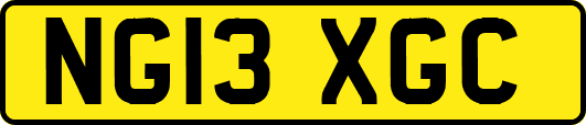 NG13XGC