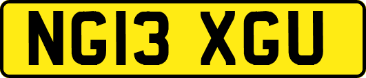 NG13XGU