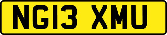 NG13XMU