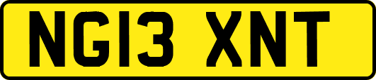 NG13XNT
