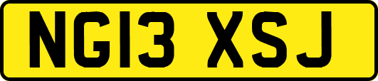 NG13XSJ