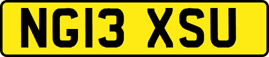 NG13XSU