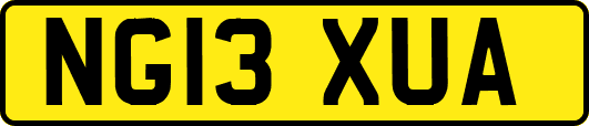 NG13XUA