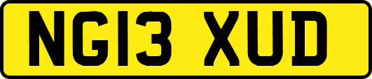NG13XUD