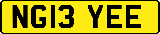 NG13YEE